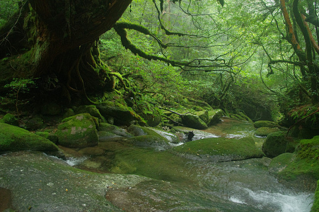 场景素材 颜色氛围