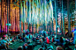 The 9 Most Unorthodox Music Festivals From Around The World
