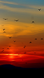 MKY_00739 1920*1080