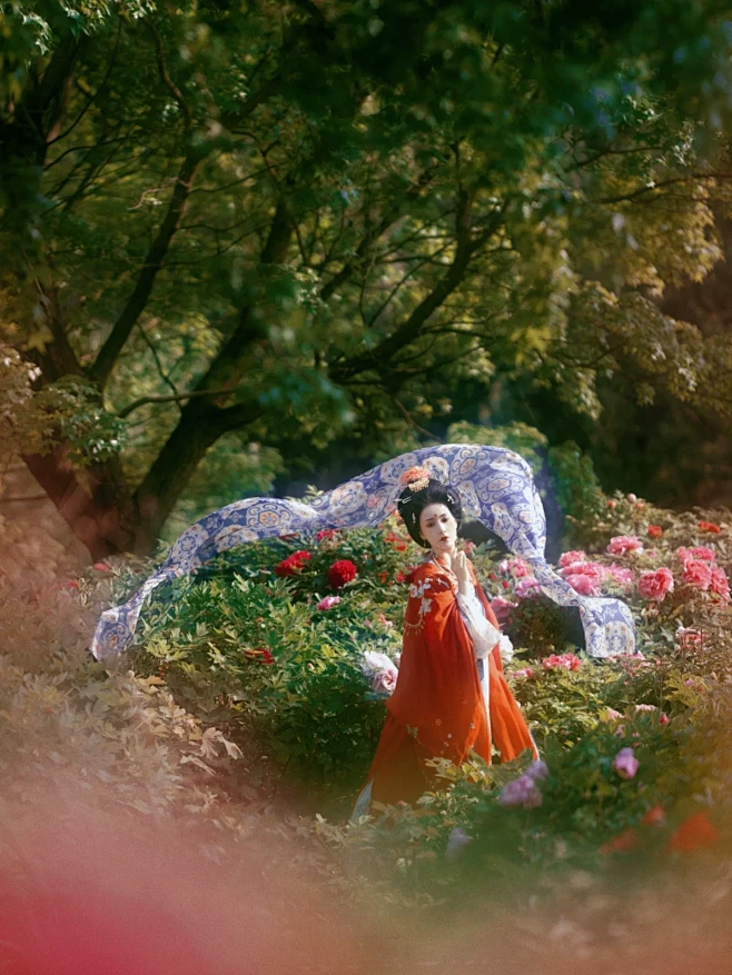 花开时节动京城｜牡丹花