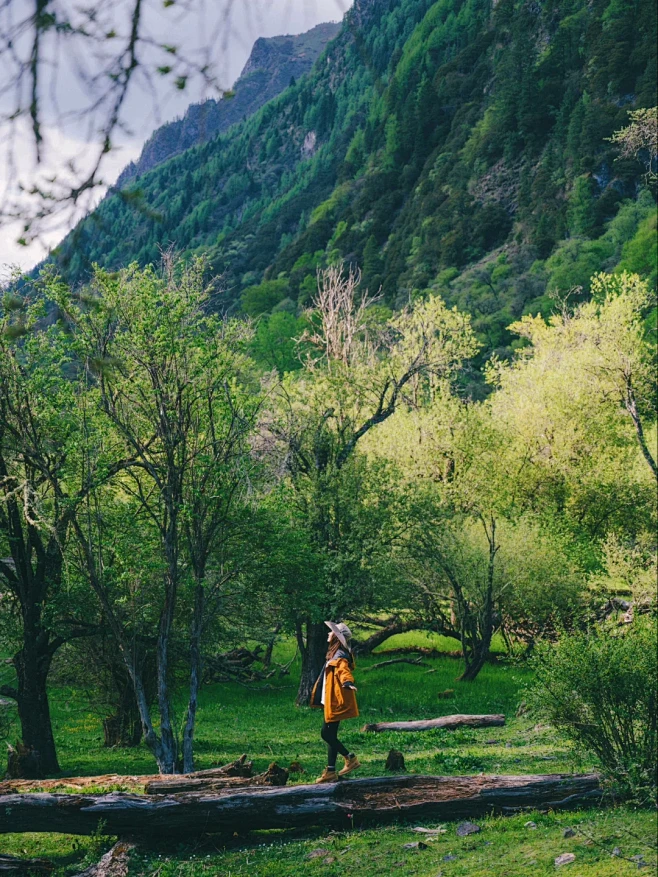 接下来的四姑娘山 是四川封神级的夏天！