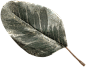 
---------------------------------------
我在使用【率叶插件】，一个让花瓣网”好用100倍“的浏览器插件，你也来吧！
> http://ly.jiuxihuan.net/?yqr=19179139