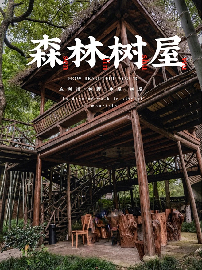首发‼️睡进莫干山的童话树屋绿野仙踪 : 在莫干山有一家藏在森林里的树屋民宿满足了我对树屋的全部幻想，木头搭建而成，虫鸣鸟鸣，周围被绿野竹林 ...