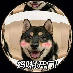 宠物表情包_百度图片搜索