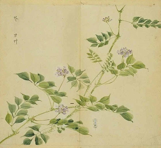 简兮简兮，方将万舞。日之方中，在前上处。...