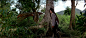 Snipaste_2023-07-24_15-14-50
