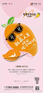 送芒果+老带新