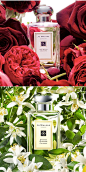 jo-malone-combination.jpg (599×1201)