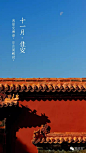 108张图看尽紫禁城的春夏秋冬 : 本文来自：微故宫（ID：weigugong），版权归其所有。 　　办公室门前有棵杏树，每逢三月便满树花开，之后硕果累累，最后落叶归根。 如此岁月往复，让我们萌生了记录紫禁城 一年中的景色的想法。 如今春去春又归，紫禁