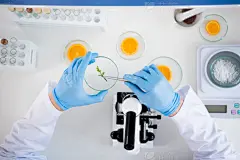 Male scientist during work at modern biological laboratory