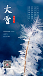 大雪传统节气手机海报-图小白