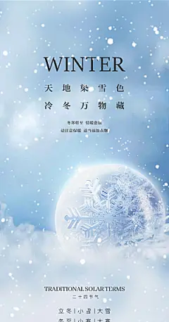 中国传统节大雪简约素雅手机海报