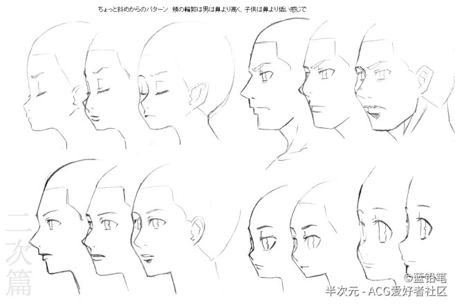 侧脸的绘画参考，不同头部的结构画法！
