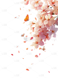 yanranqing采集到花朵PNG