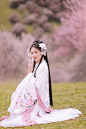 杏花坞 - 