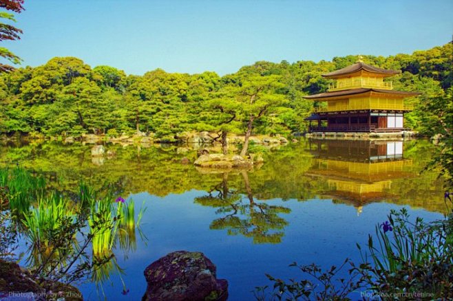 京都金阁寺
日本京都鹿苑寺，又名金阁寺...