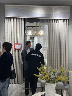 Lorenana采集到帘款-现代