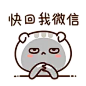 秋裤猫晓晓篇gif动态图片_秋裤猫晓晓篇GIF素材_秋裤猫晓晓篇表情包-51GIF