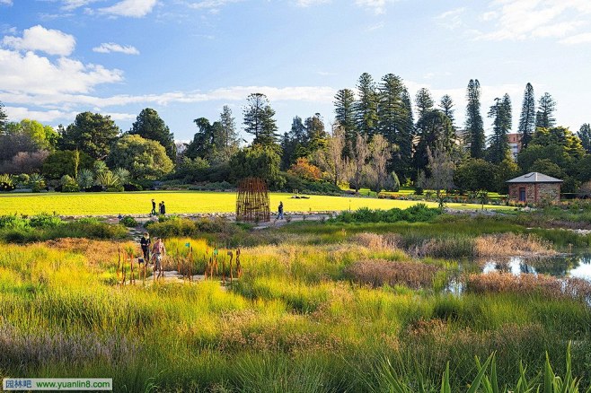 【新提醒】阿德莱德植物园湿地景观设计-园...
