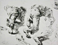 门采尔——世界级素描大师
