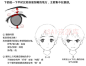 #SAI资源库# 动漫人体五官比例绘画参考，喜欢的可以自己借鉴，转需~
