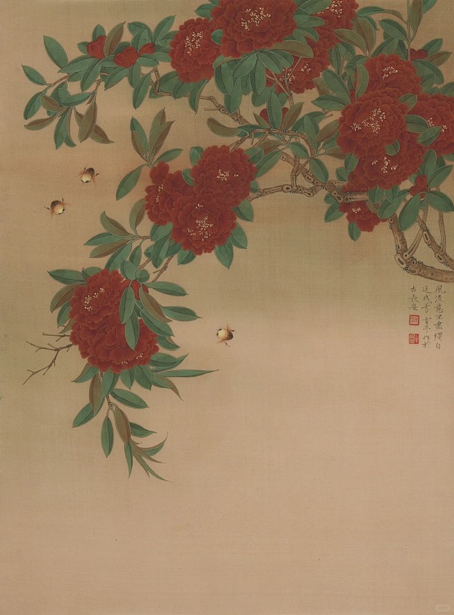炎夏_1_芃芃_来自小红书网页版