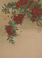 炎夏_1_芃芃_来自小红书网页版