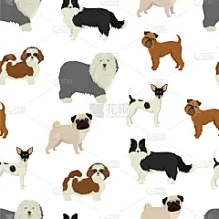 几何形状,狗,式样,时尚,可爱的,商务,纯种犬,巴哥犬,哺乳纲,动物