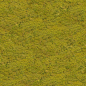 Grass0051_4_M