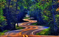 唯美梦幻的街道路景高清摄影桌面壁纸桌面壁纸3