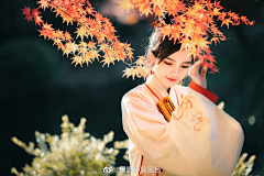 R兔酱采集到前景