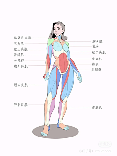 LaLalululu采集到待归类采集