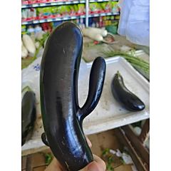 咪咕灯采集到宠物