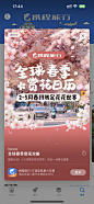 春季赏花