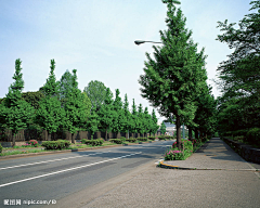 养蚕人采集到道路