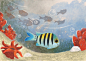 IN THE CORAL REEF : Illustrations depicting the coral reef fish life , card game design, for a client from Kuwait.  