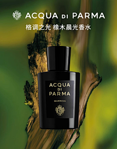 茉墨y采集到宣传海报