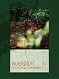 海报设计|版式设计 - 小红书
