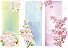 gTle6MQp采集到樱花酒标