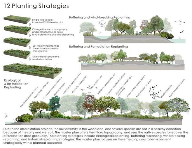 Planting Strategies