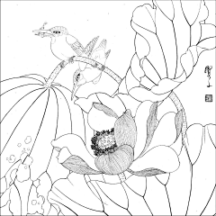 gujunqi926采集到线稿