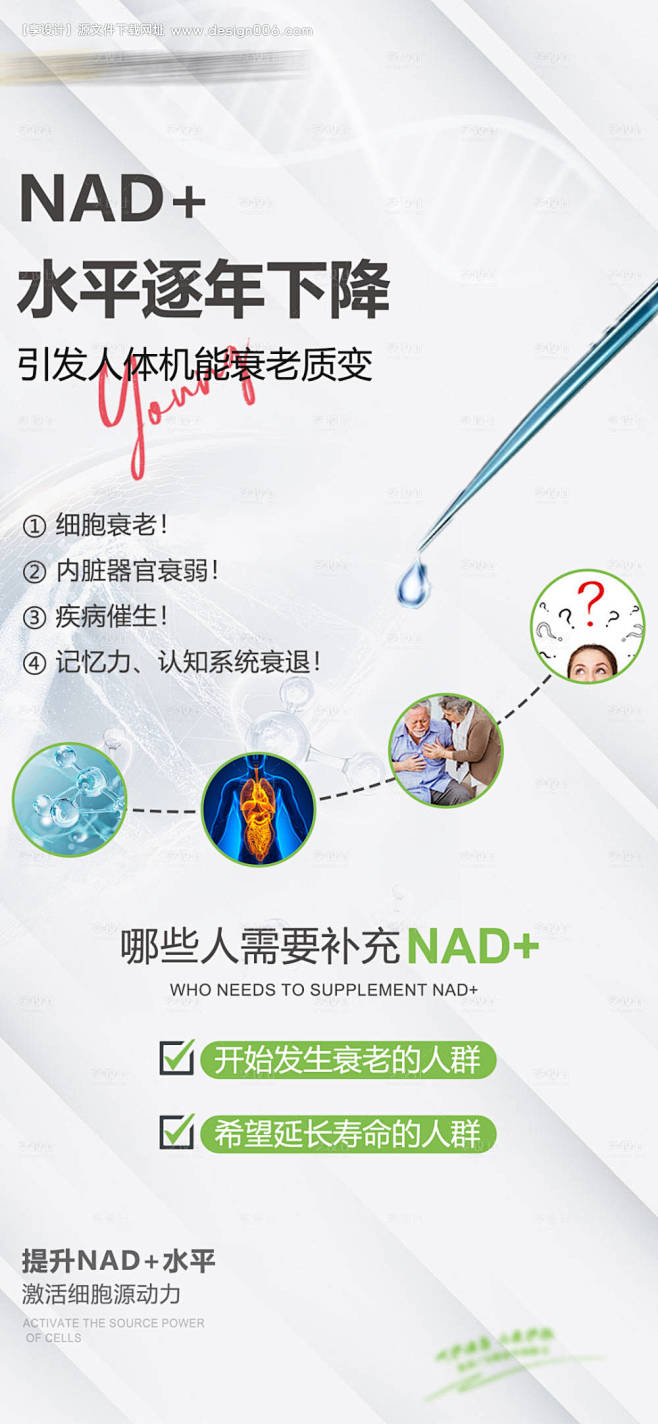 源文件下载【NAD+科普健康海报】编号：...