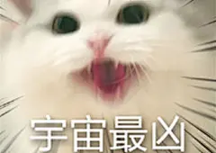 超可爱猫咪系列表情包 撒个娇萌死你_动漫新闻_动漫论坛_动漫美图_幻之羁绊动漫网