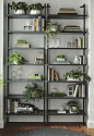 Industrial bookcases with plants: 