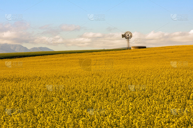 windpump