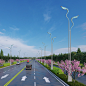H卧虎藏龙-2
