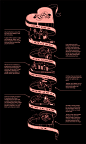 Artificial Intelligence Animated Infographic. Barbican : Infographic for Barbican Centre in the exhibition "Artificial Intelligence: More than Human".