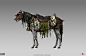 Diablo4 Mount Armors