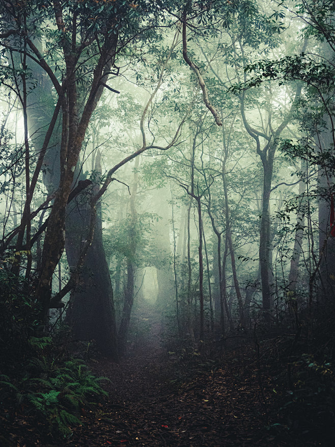 Taman Mountain - 塔曼山...