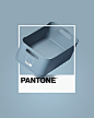 Coza + PANTONE™